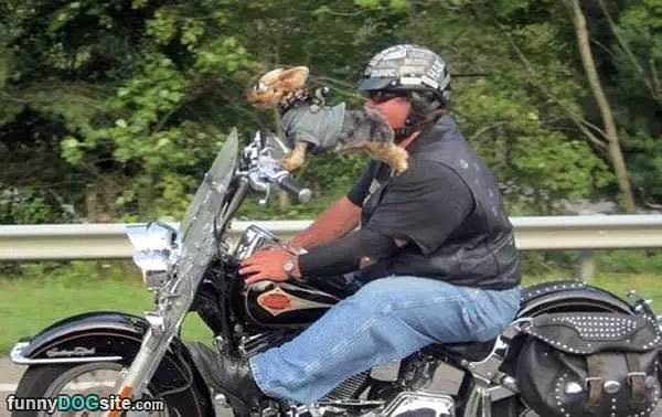 Faster Faster