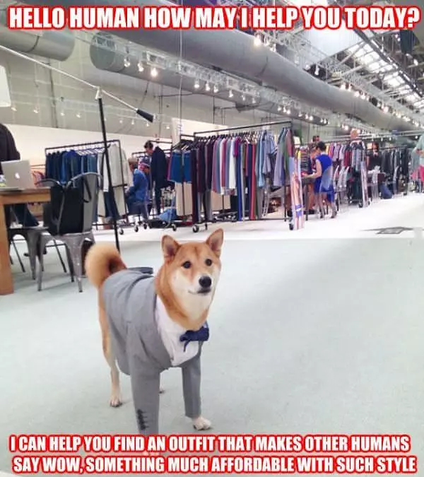 Such Wow