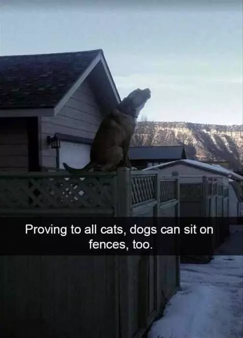 Sitting On Fences Too