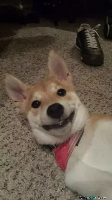 My Fun Smile