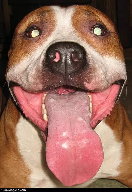Big Closeup