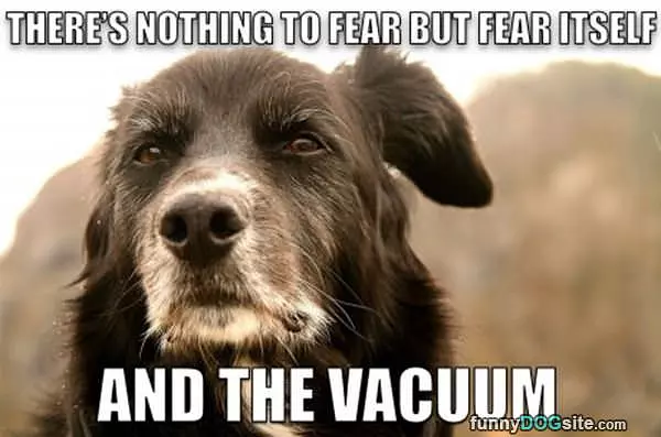 Nothing To Fear