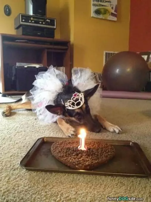 My Birthday