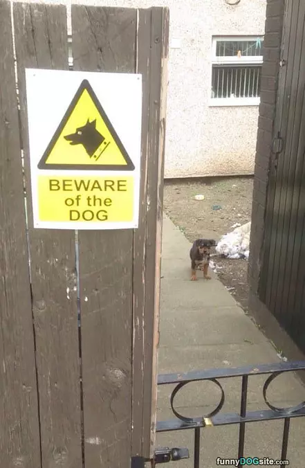 Beware The Dog