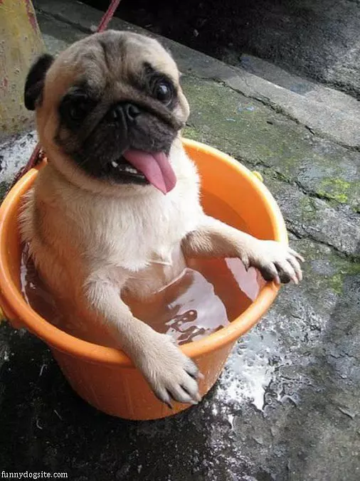 Its Mah Bath Time