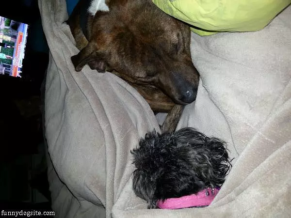 All Tucked In