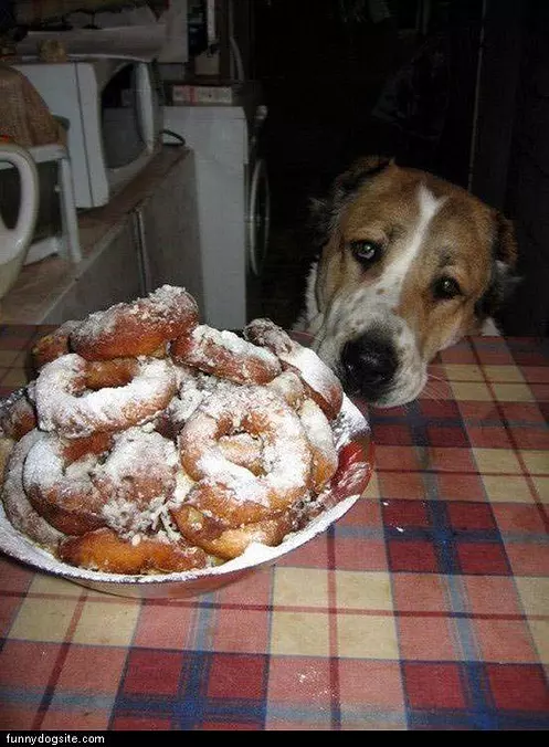 Sweet Sweet Doughnuts