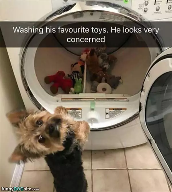 Washing His Favorite Toys