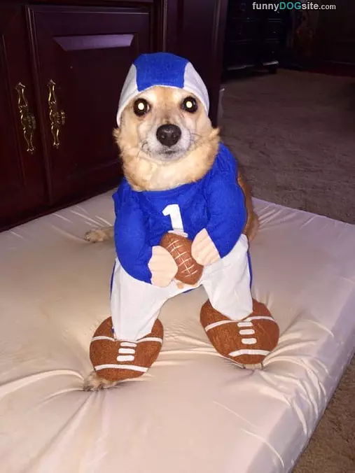 Ready For Some Football