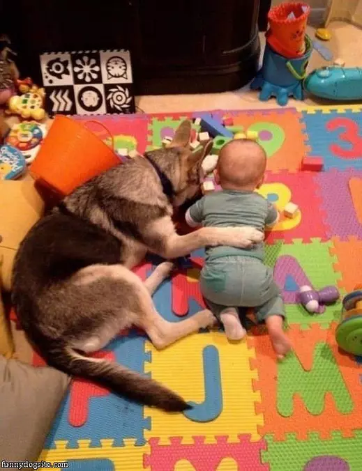 The Bestest Of Friends