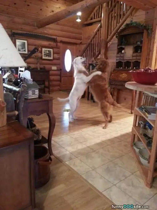 Can I Have This Dance