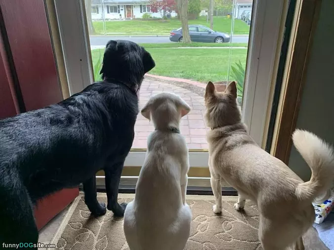 Watching It All