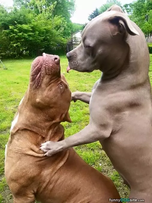 Little Kiss