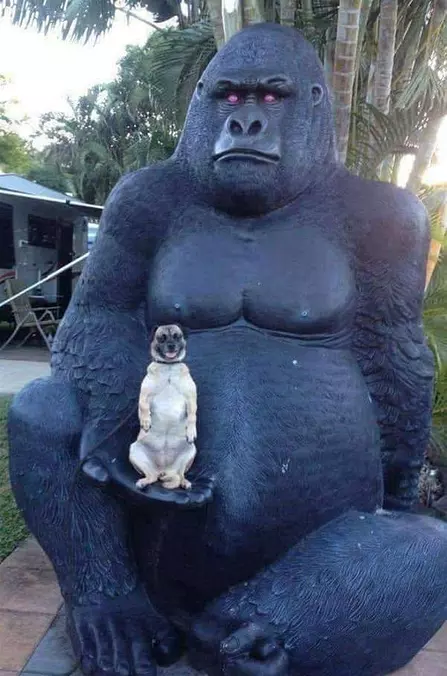 This Is My Spot Now