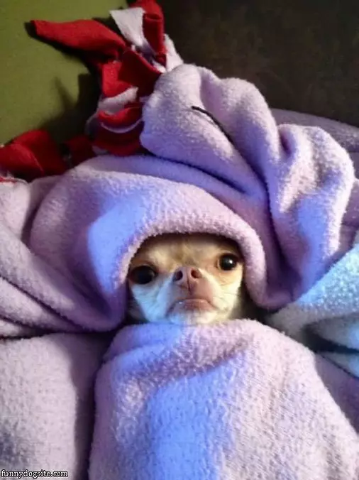 All Bundled Up