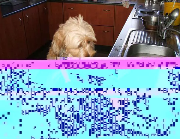 Brad Doing Dishes