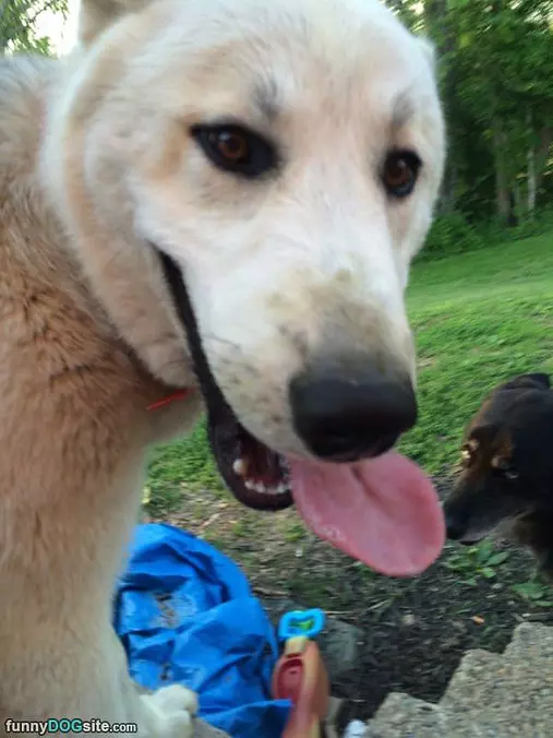 My Tongue Out