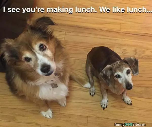 We Want Lunch Too