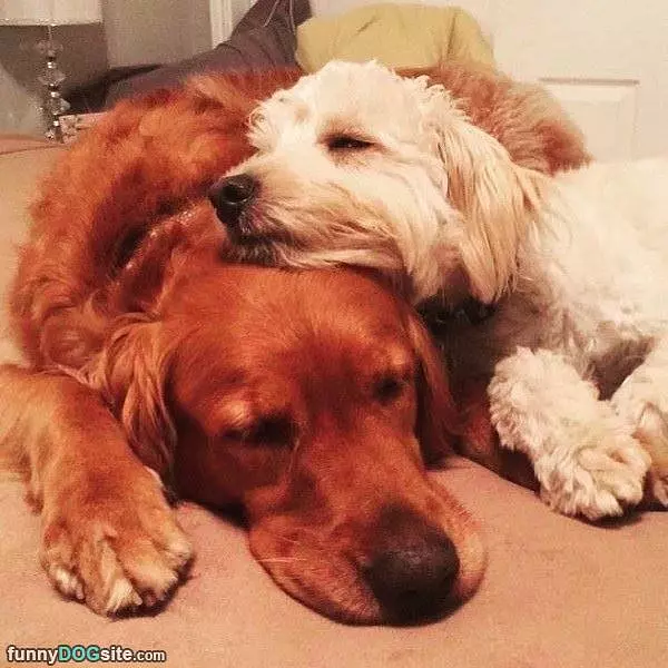 We Are Besties