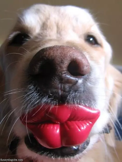 Give Me A Big Kiss