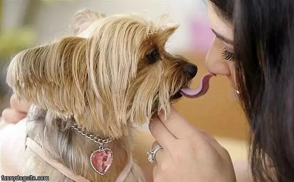 Nose Lick