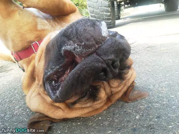 Upside Down Face