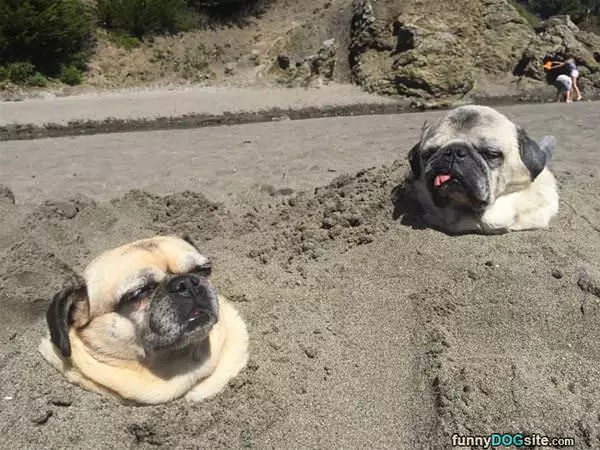 Having A Good Day