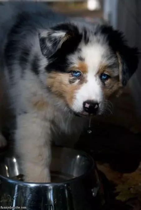 This Water Is Good
