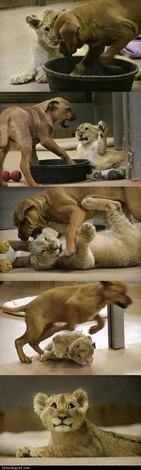 Best Friends