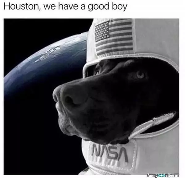 Houston We Have