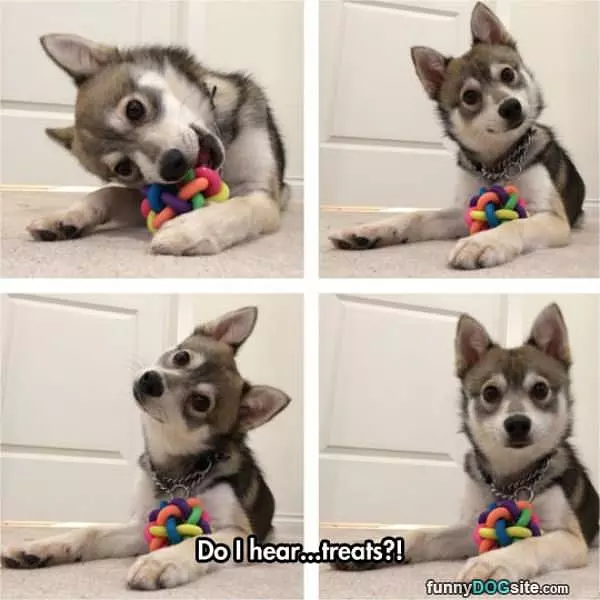 Do I Hear