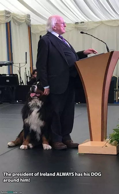 The President Of Ireland