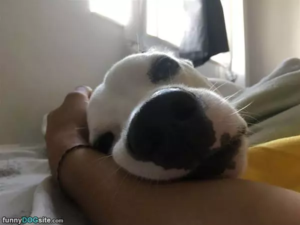 My Nap Spot