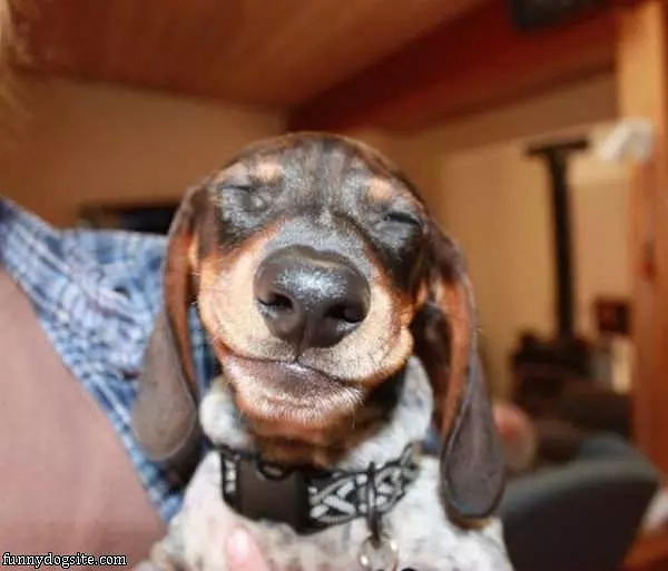 Smiley