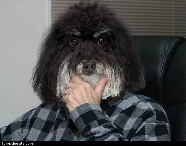 Dog Man