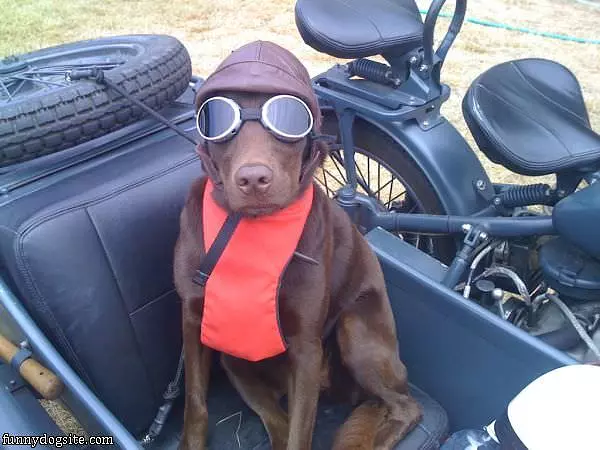 Ready For My Ride