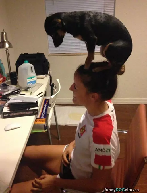 Super Balance