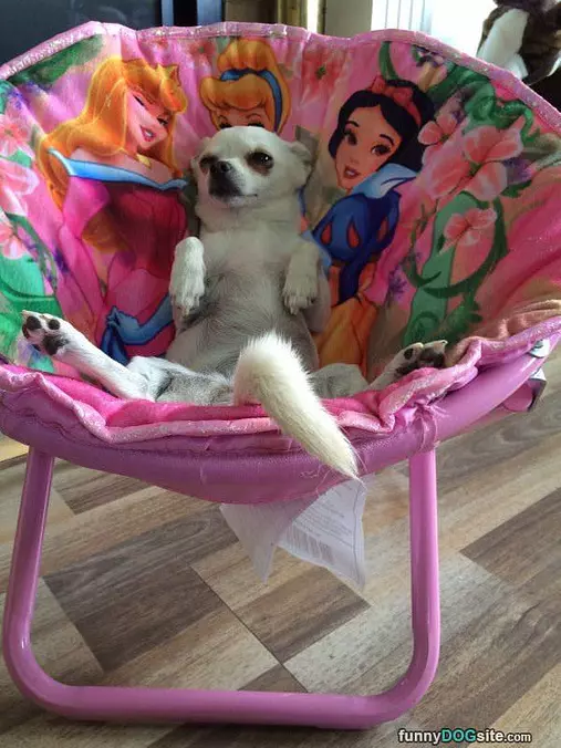 Hanging Out