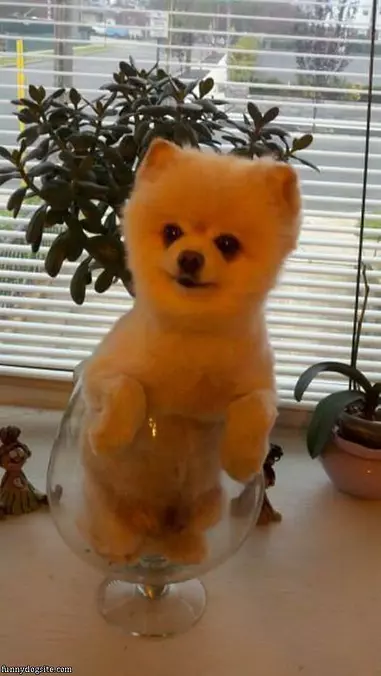 I Am In A Glass