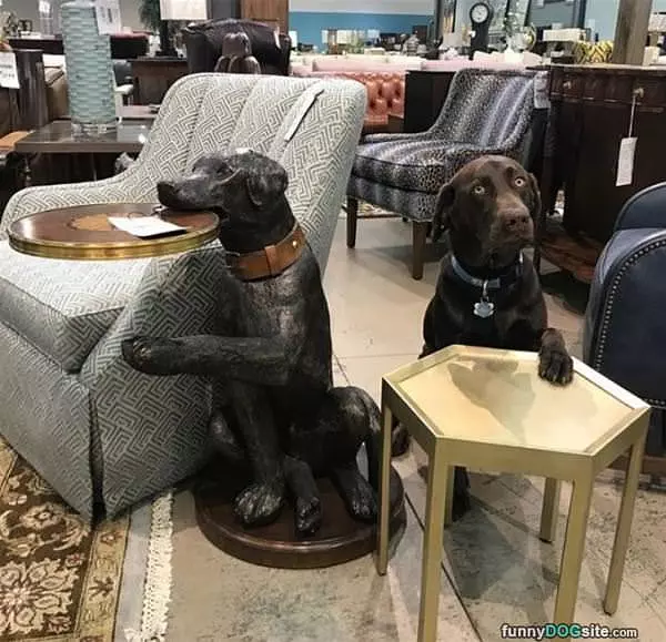 What Is This Thing