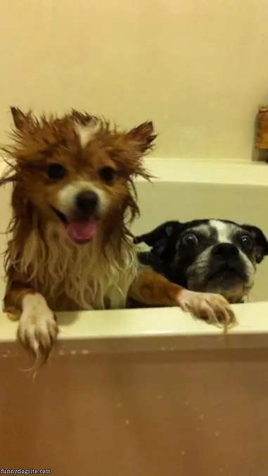 Yayayaya Bath Time