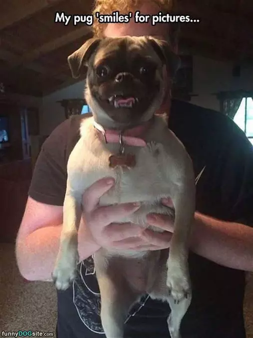 Smiles For Pictures