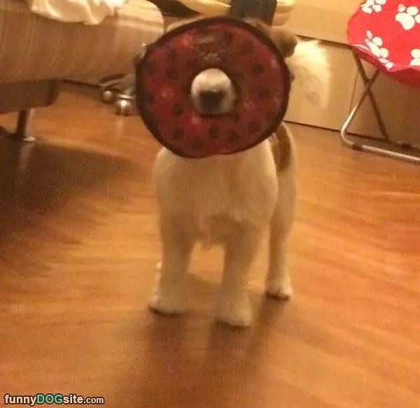 I Cannot See Anything