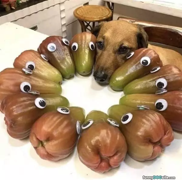 Circle Time