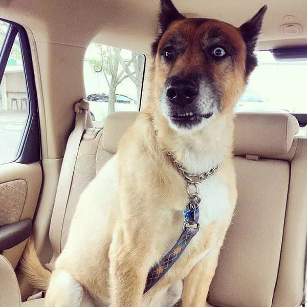 So Where Are We Going