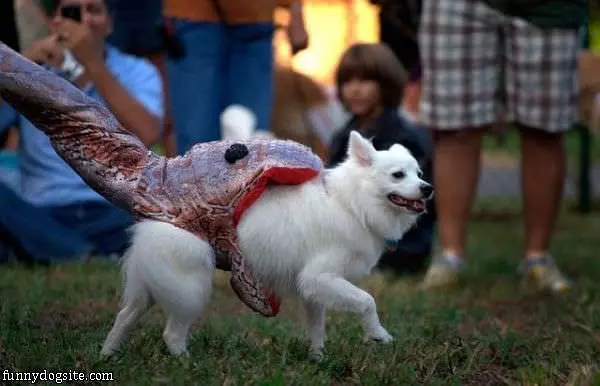 Snake Bit Costume