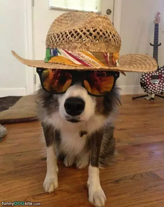 Ready For A Fun Day