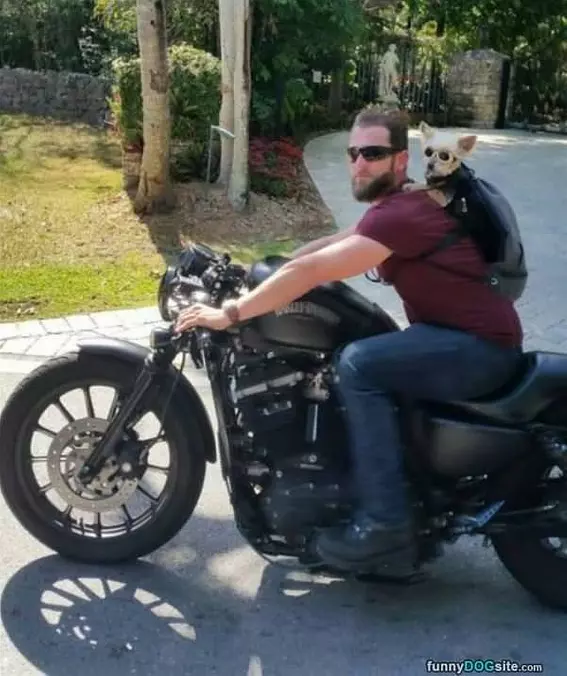Going For An Awesome Ride