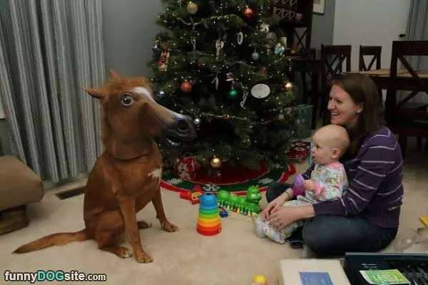 I A Horse