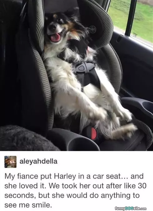 Buckled In For Safety
